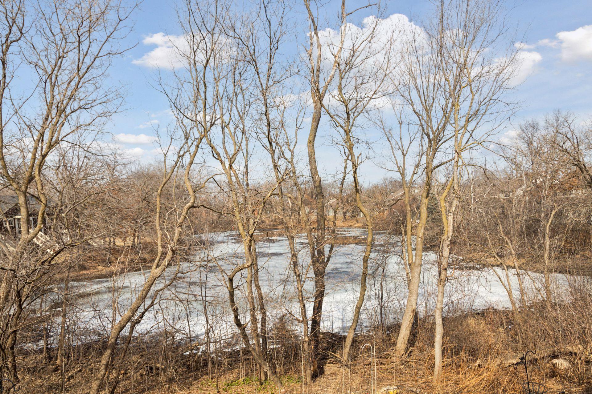 2564 Concord Way, Mendota Heights, Minnesota image 21