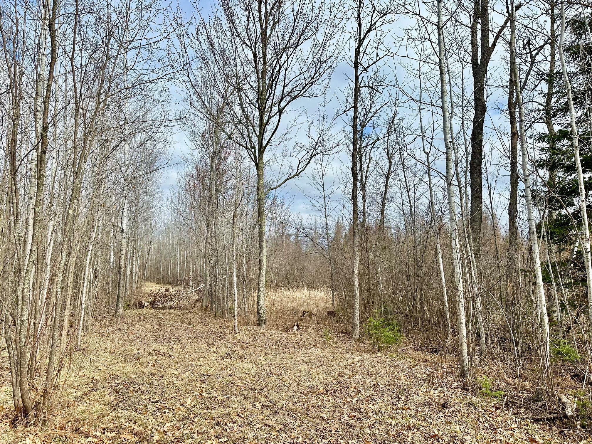 18630 Wendigo Rd. Rd, Grand Rapids, Minnesota image 7
