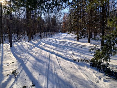 Homes For Sale - 28153 E Hardwood Lane<br/> Kanabec County, Brook Park, MN 55007