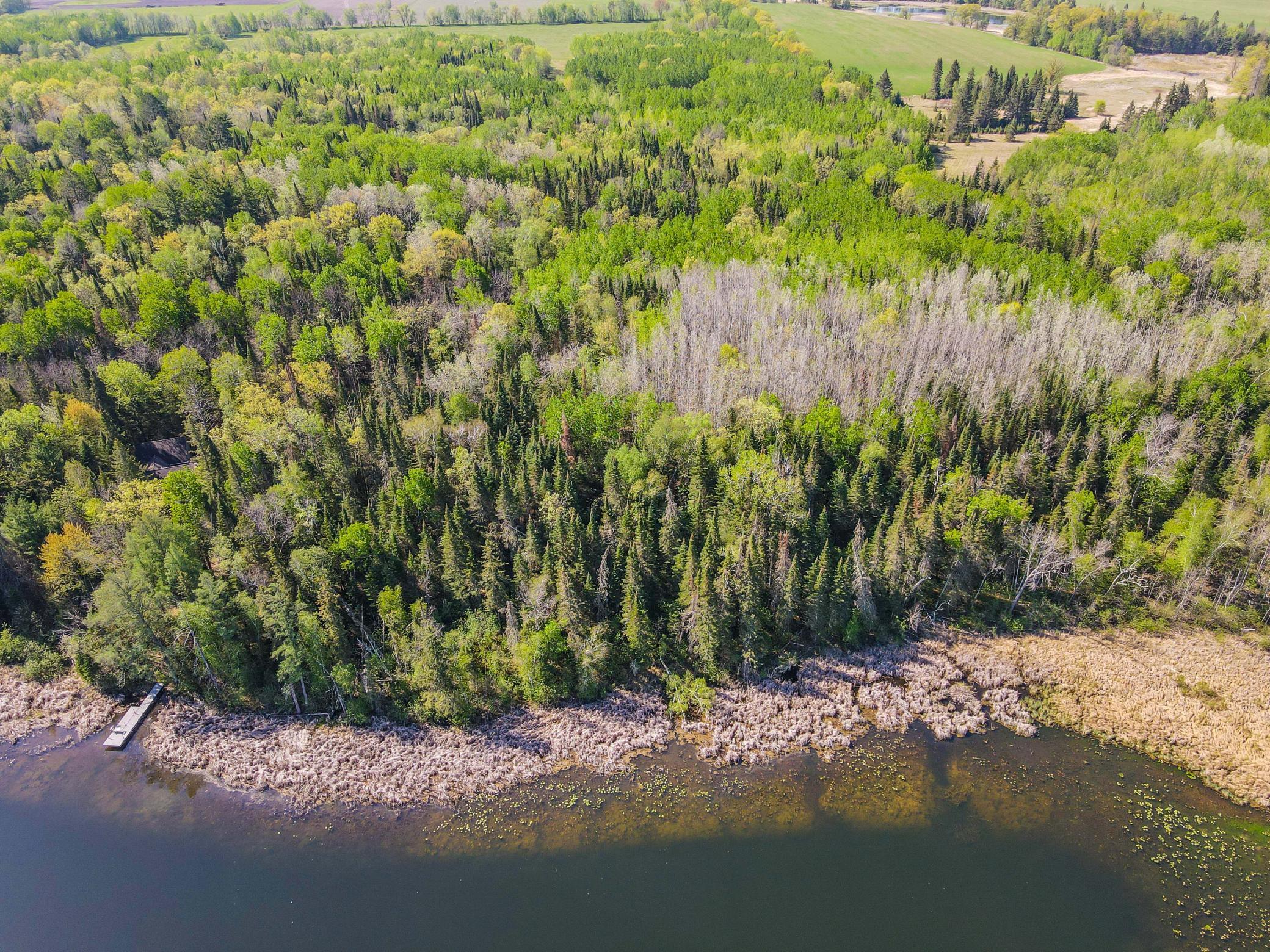 TBD 181st Street, Menahga, Minnesota image 6
