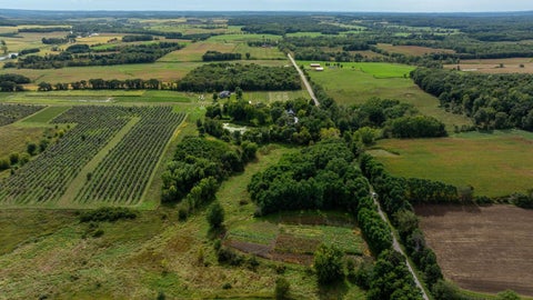 Vacant Land For Sale - Finch Drive<br/> Osseo, WI 54758
