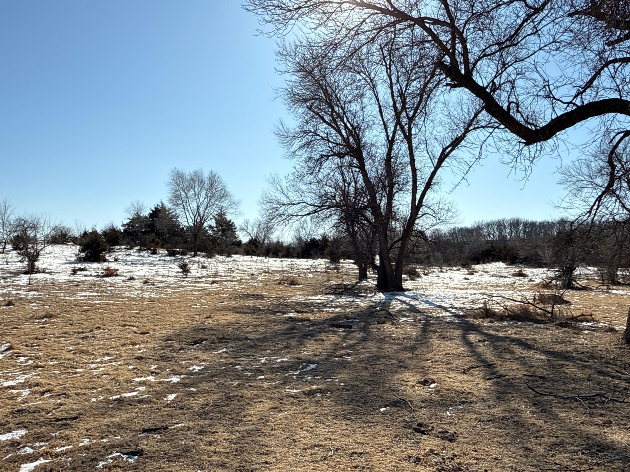 Pasture Land Section 13 / 24 Delhi Twp, Redwood Falls, Minnesota image 7