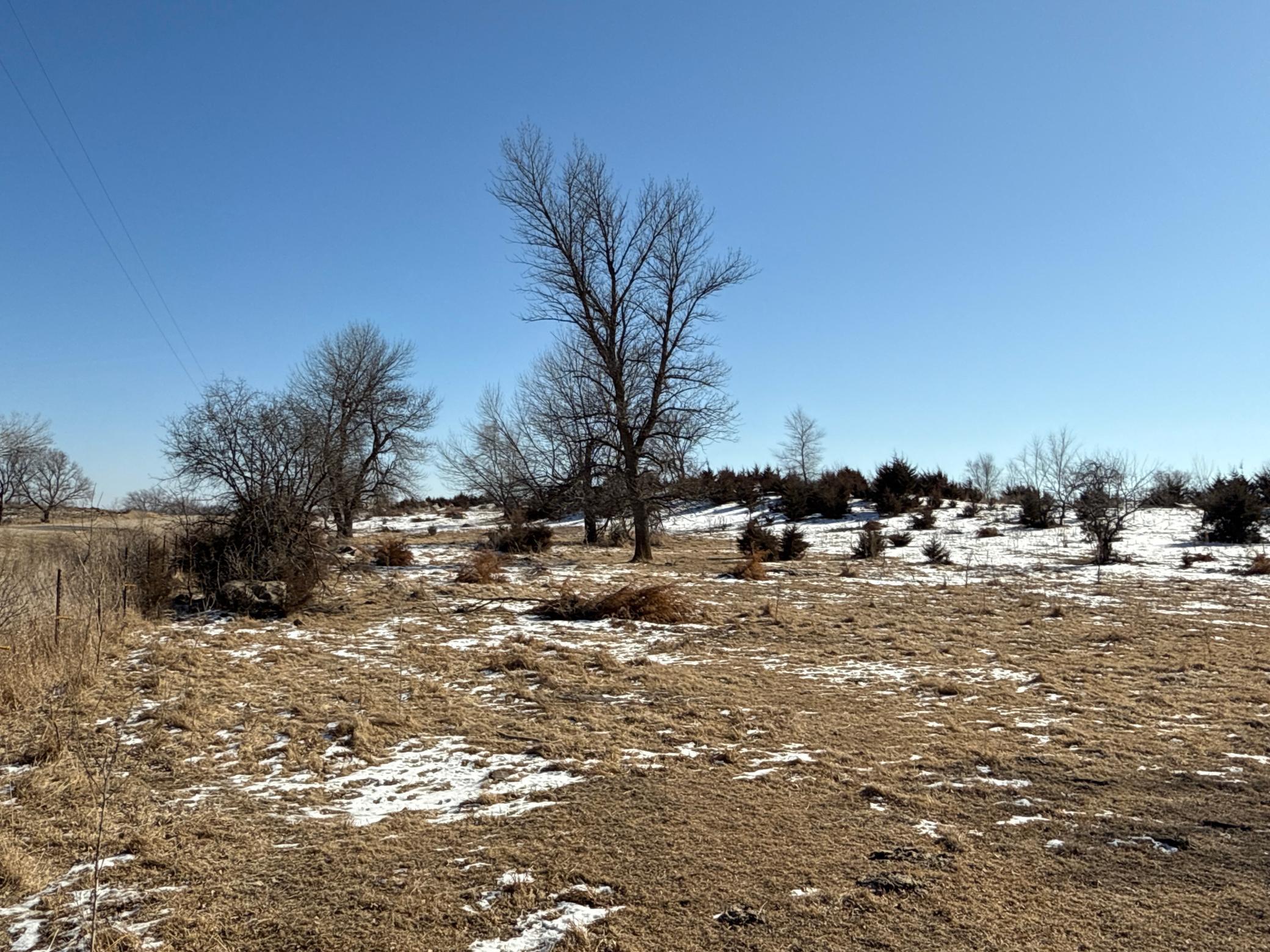 Pasture Land Section 13 / 24 Delhi Twp, Redwood Falls, Minnesota image 6