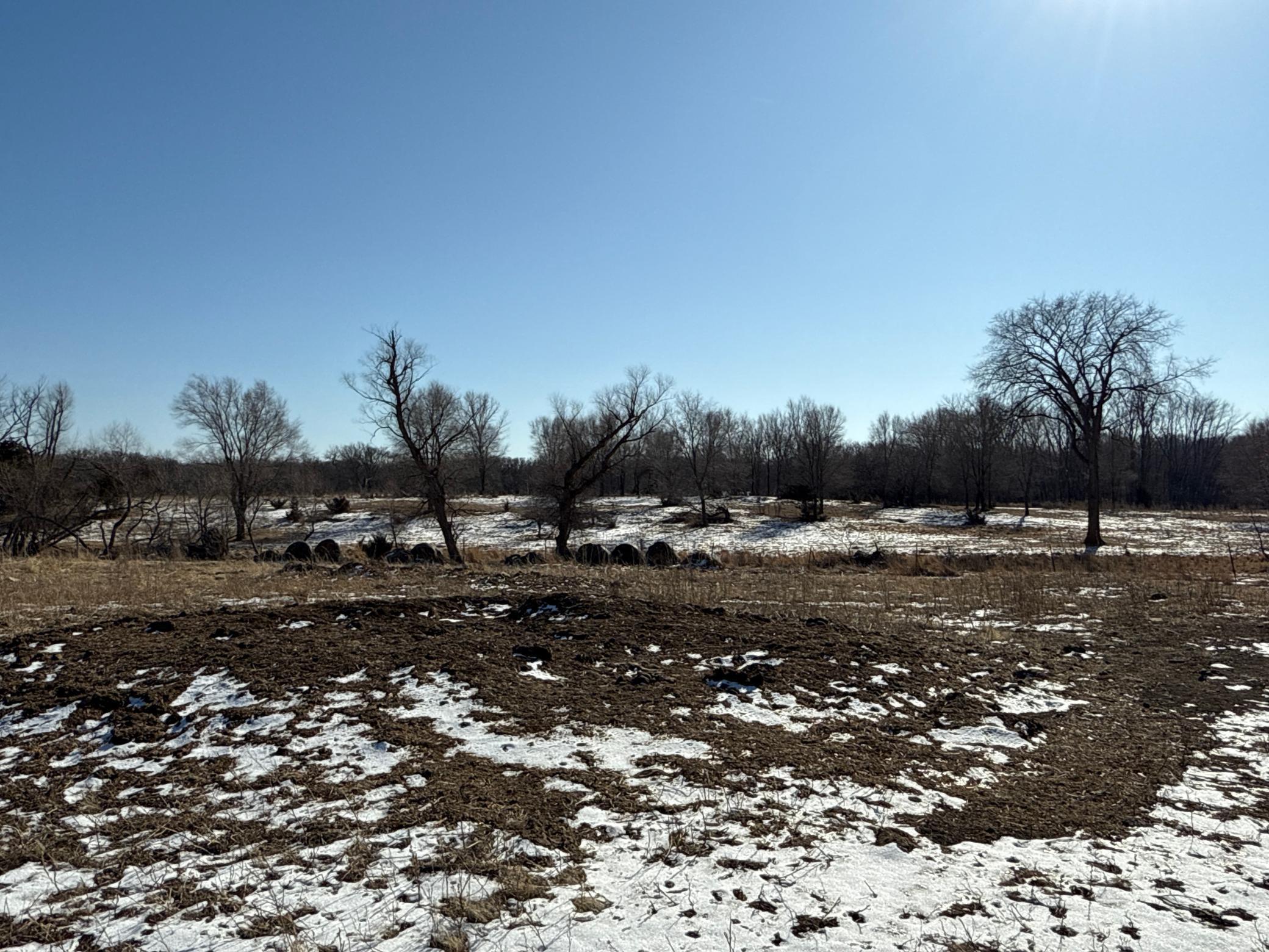 Pasture Land Section 13 / 24 Delhi Twp, Redwood Falls, Minnesota image 15