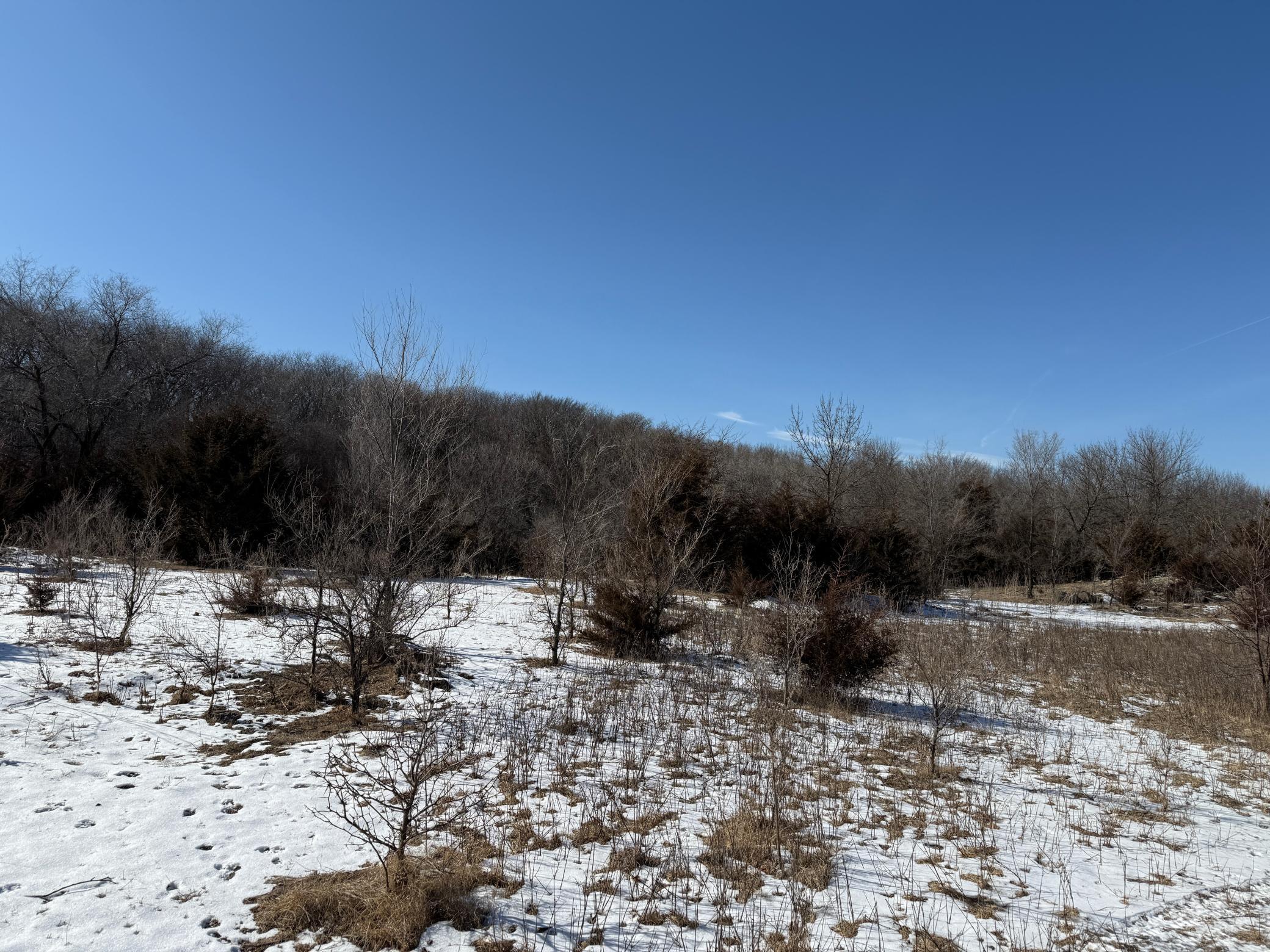 Pasture Land Section 13 / 24 Delhi Twp, Redwood Falls, Minnesota image 5