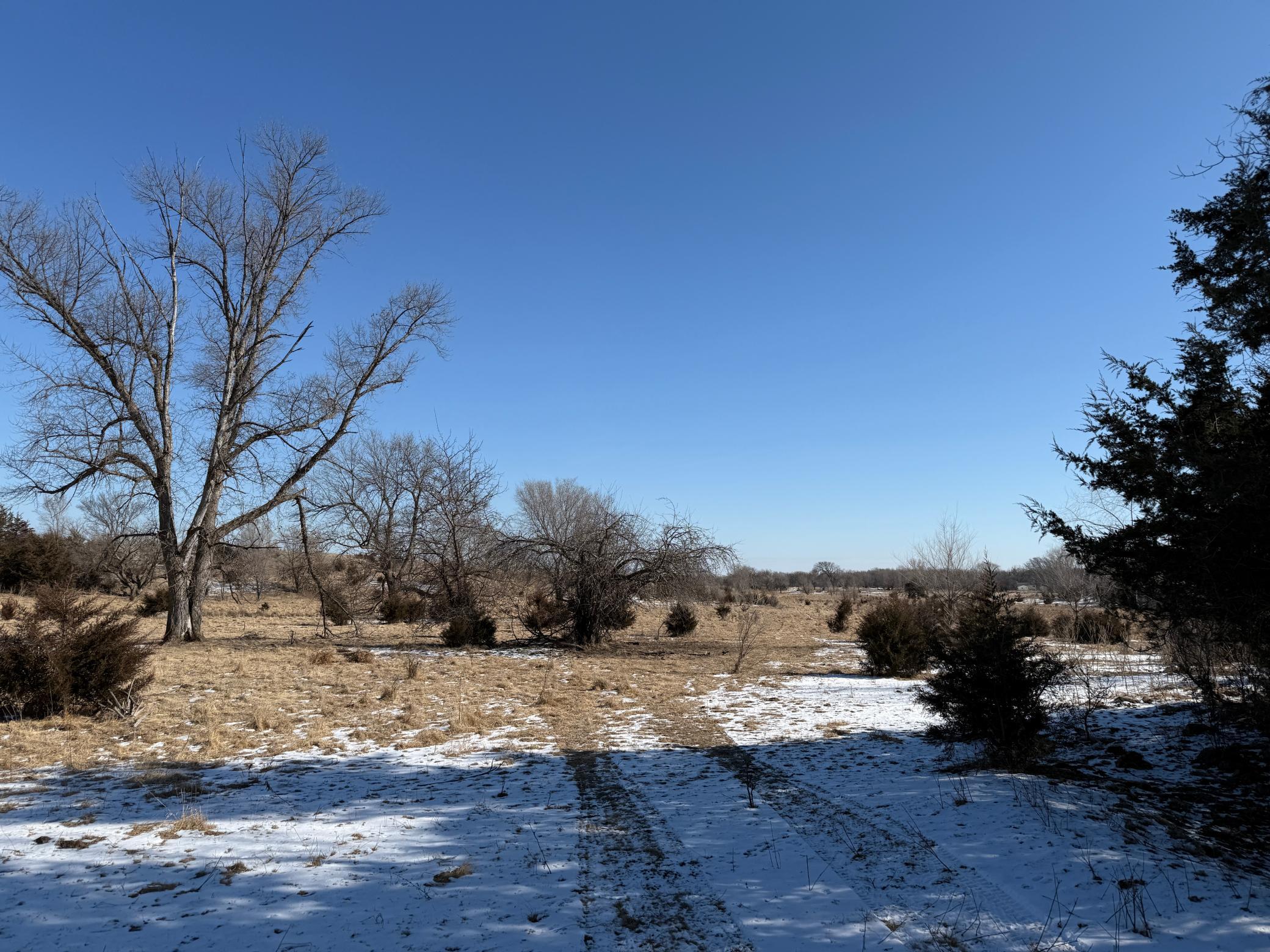 Pasture Land Section 13 / 24 Delhi Twp, Redwood Falls, Minnesota image 9