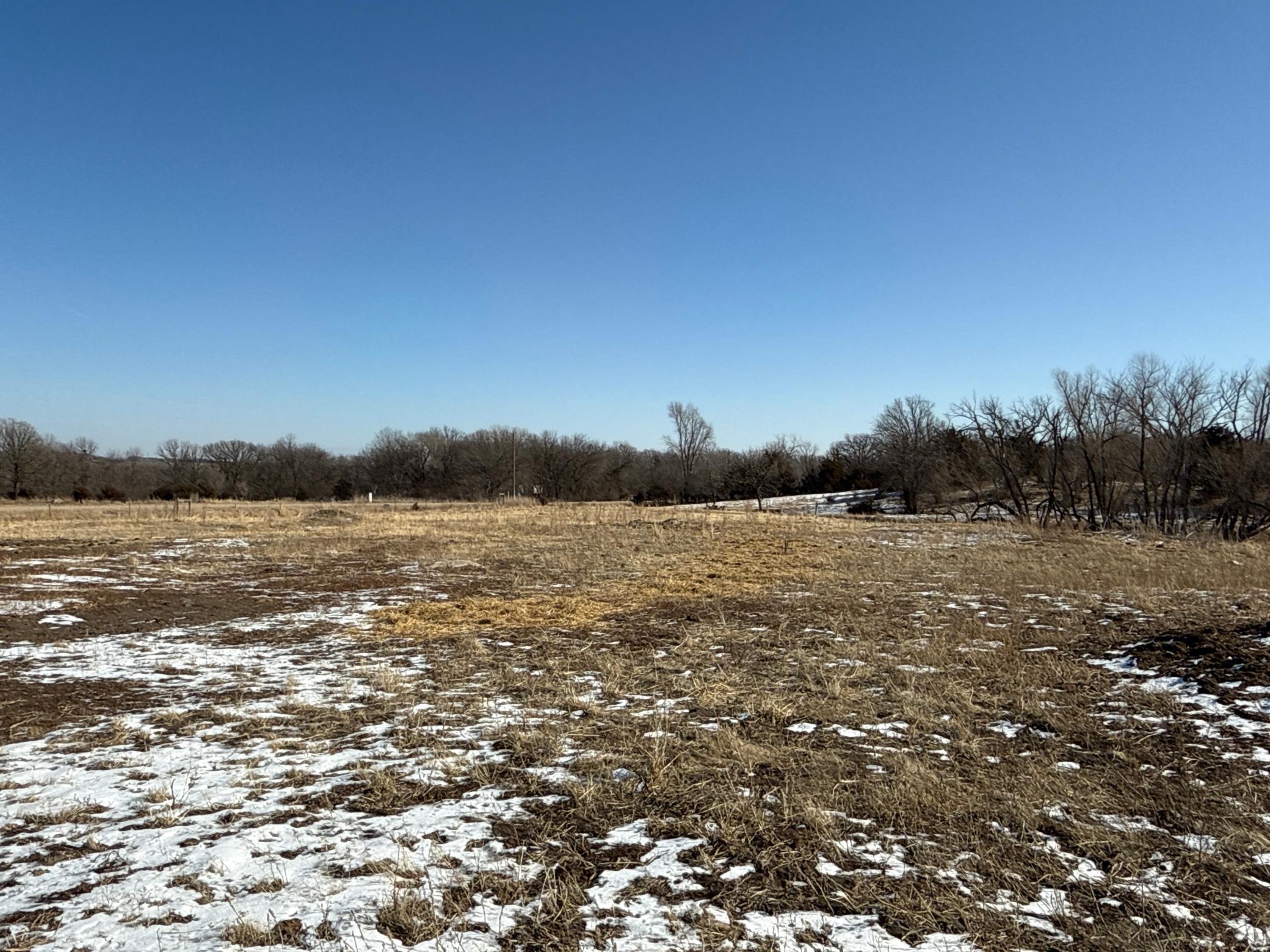 Pasture Land Section 13 / 24 Delhi Twp, Redwood Falls, Minnesota image 16