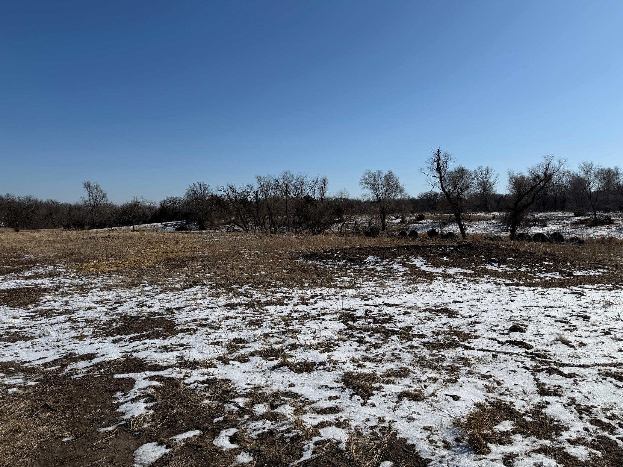 Pasture Land Section 13 / 24 Delhi Twp, Redwood Falls, Minnesota image 10