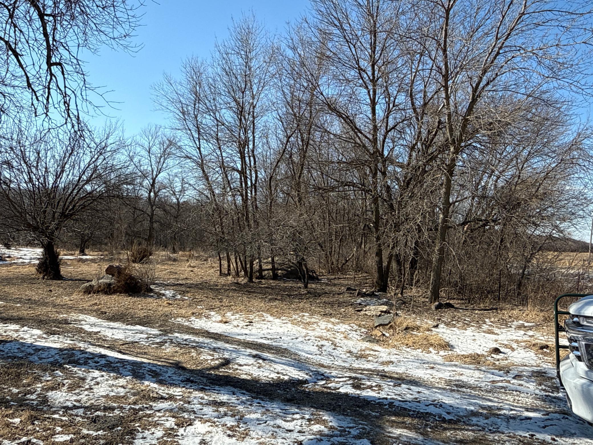 Pasture Land Section 13 / 24 Delhi Twp, Redwood Falls, Minnesota image 8