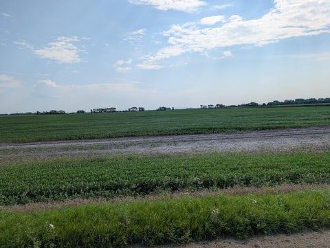 Vacant Land For Sale - 60713 150th St St<br/> Stevens County, Chokio, MN 56221