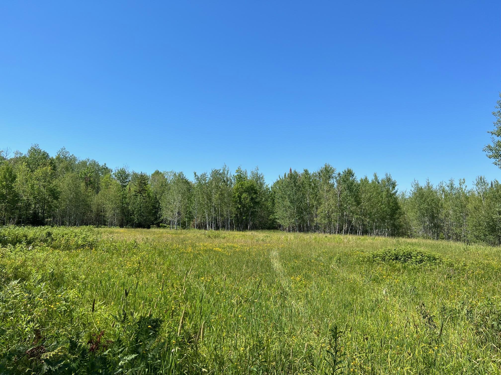 74035 County Highway A, Iron River, Wisconsin image 50