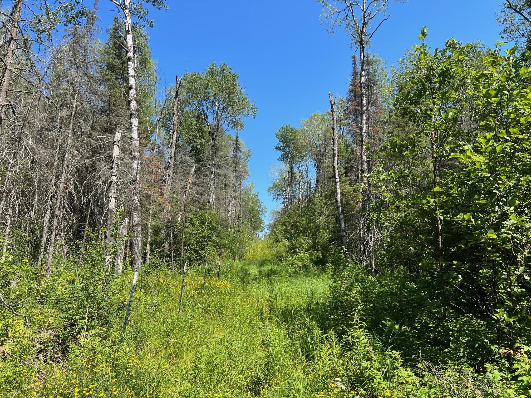 74035 County Highway A, Iron River, Wisconsin image 49