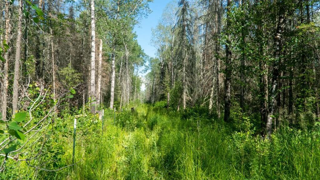74035 County Highway A, Iron River, Wisconsin image 31