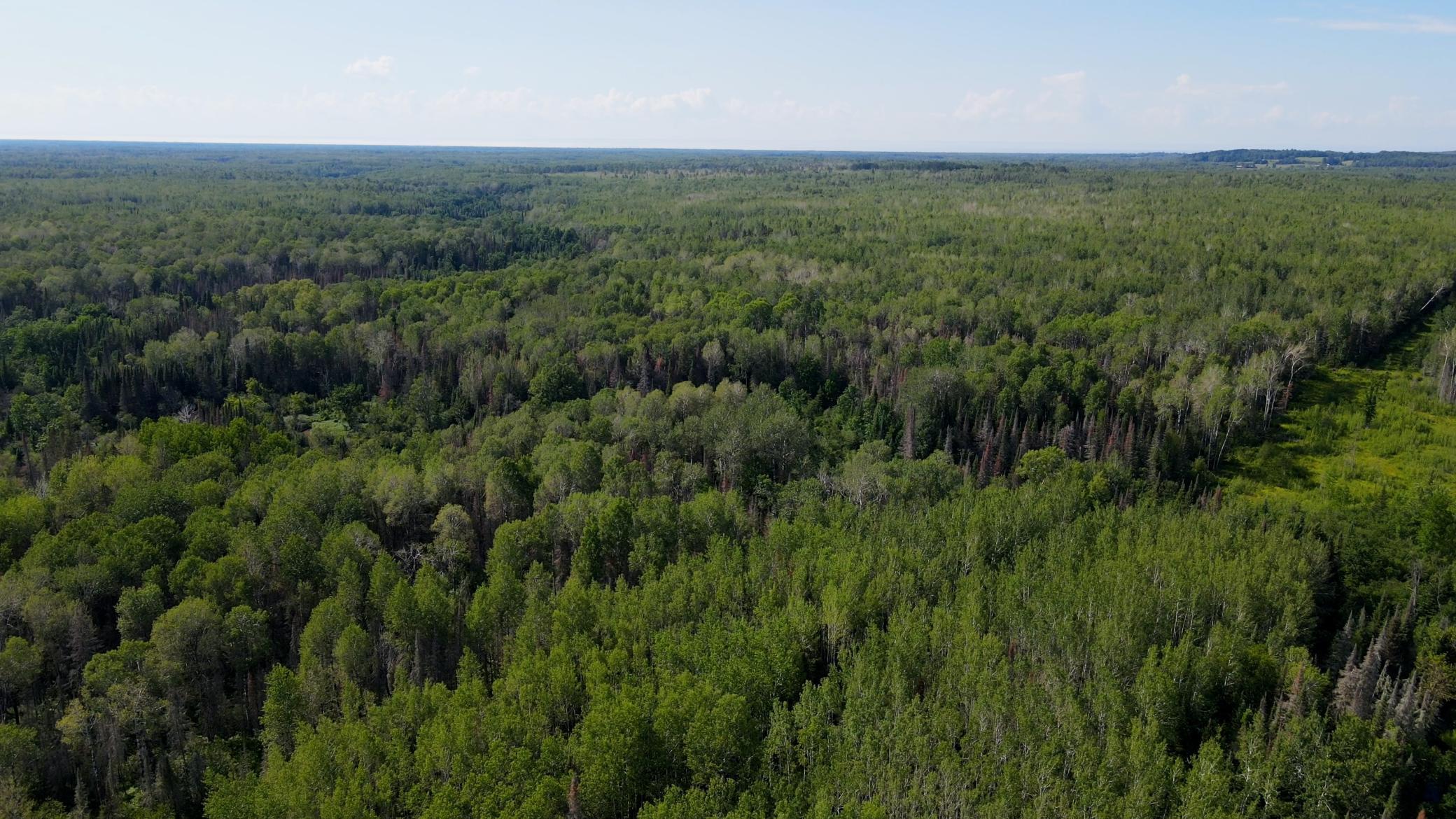 74035 County Highway A, Iron River, Wisconsin image 28