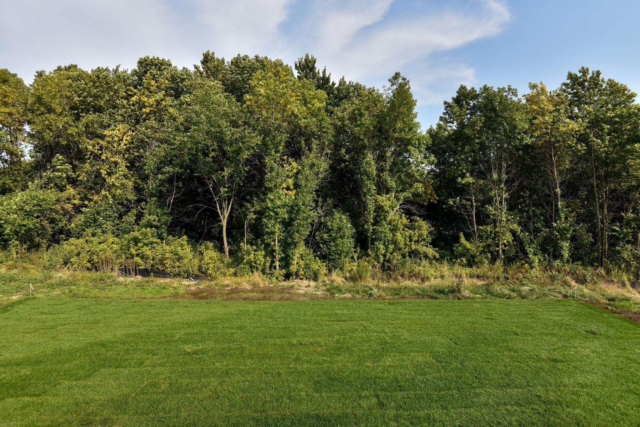 14196 77th Lane Ln, Otsego, Minnesota image 31