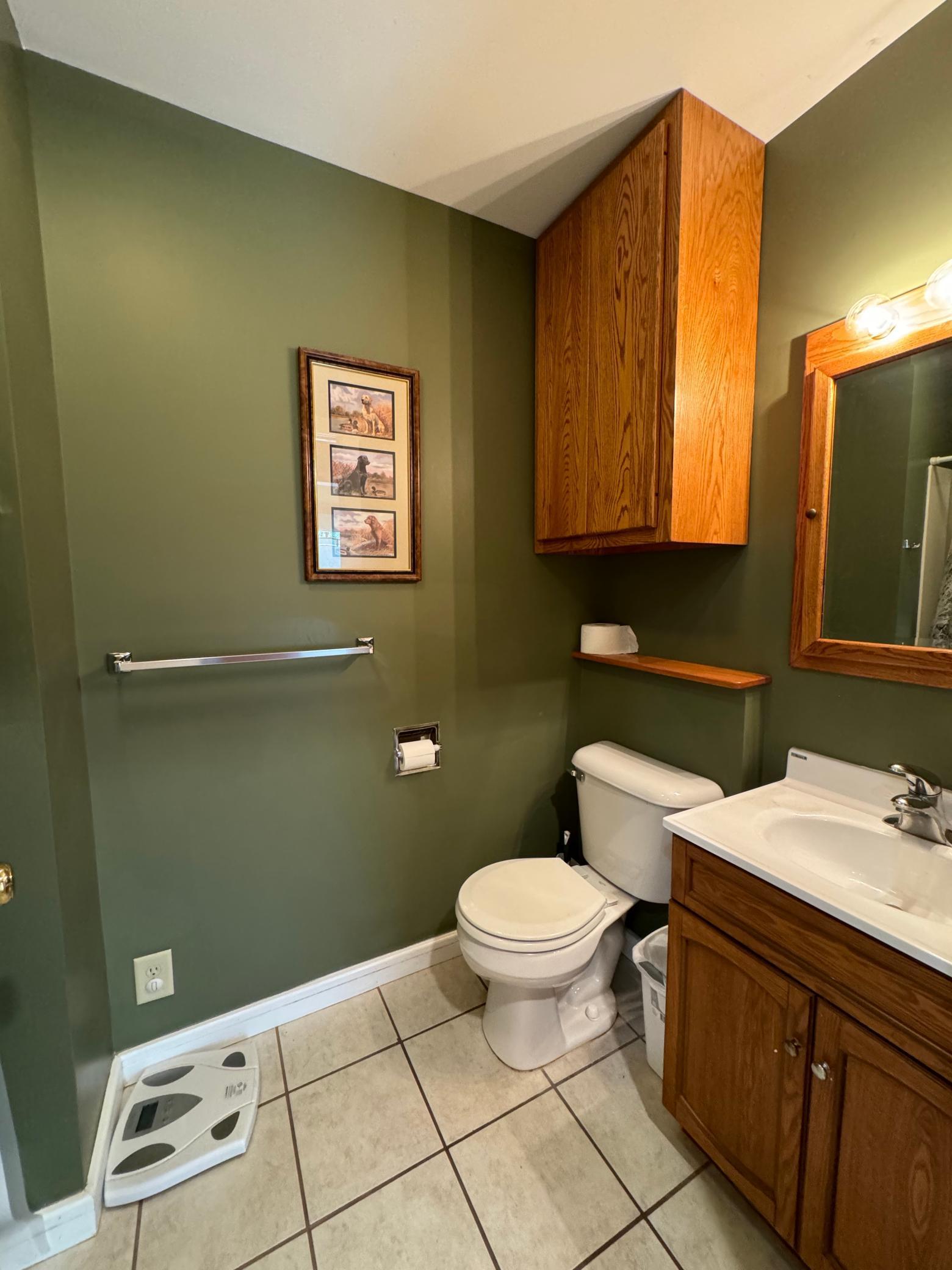 417 W Pine Street, Saint Peter, Minnesota image 27