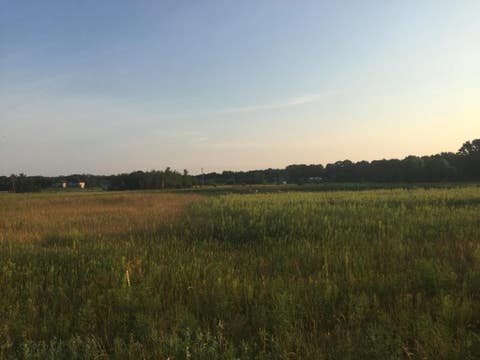 Vacant Land For Sale - 8354 169th Avenue<br/> Forest Lake, MN 55025
