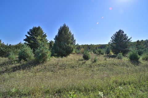 Vacant Land For Sale - TBD Partridge Court<br/> Todd County, Browerville, MN 56438