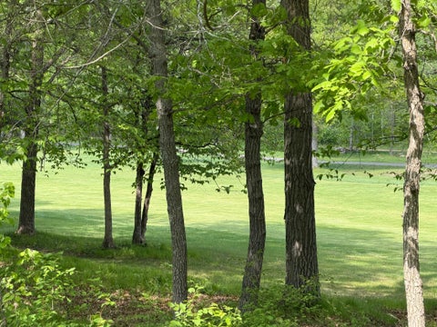 Vacant Land For Sale - TB County Road 16<br/> Crow Wing County, Pequot Lakes, MN 56472