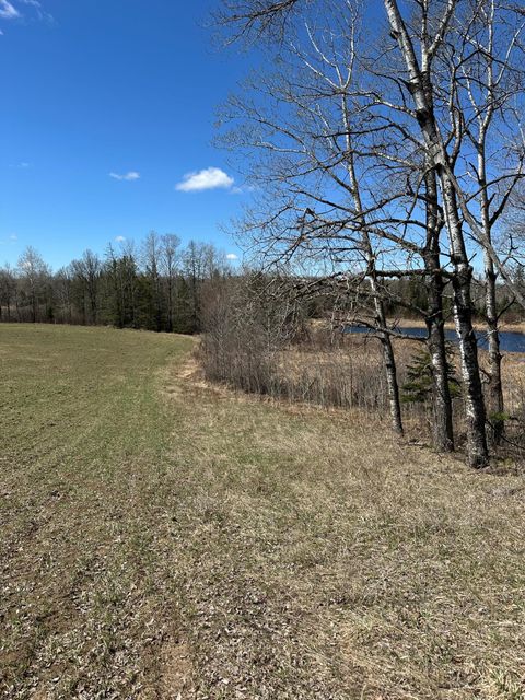 Vacant Land For Sale - TBD Ct Rd 307<br/> Blackduck, MN 56630