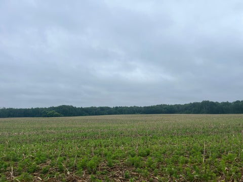 Vacant Land For Sale - TBD (LOT 2) Hemingway Avenue<br/> North Branch, MN 55056