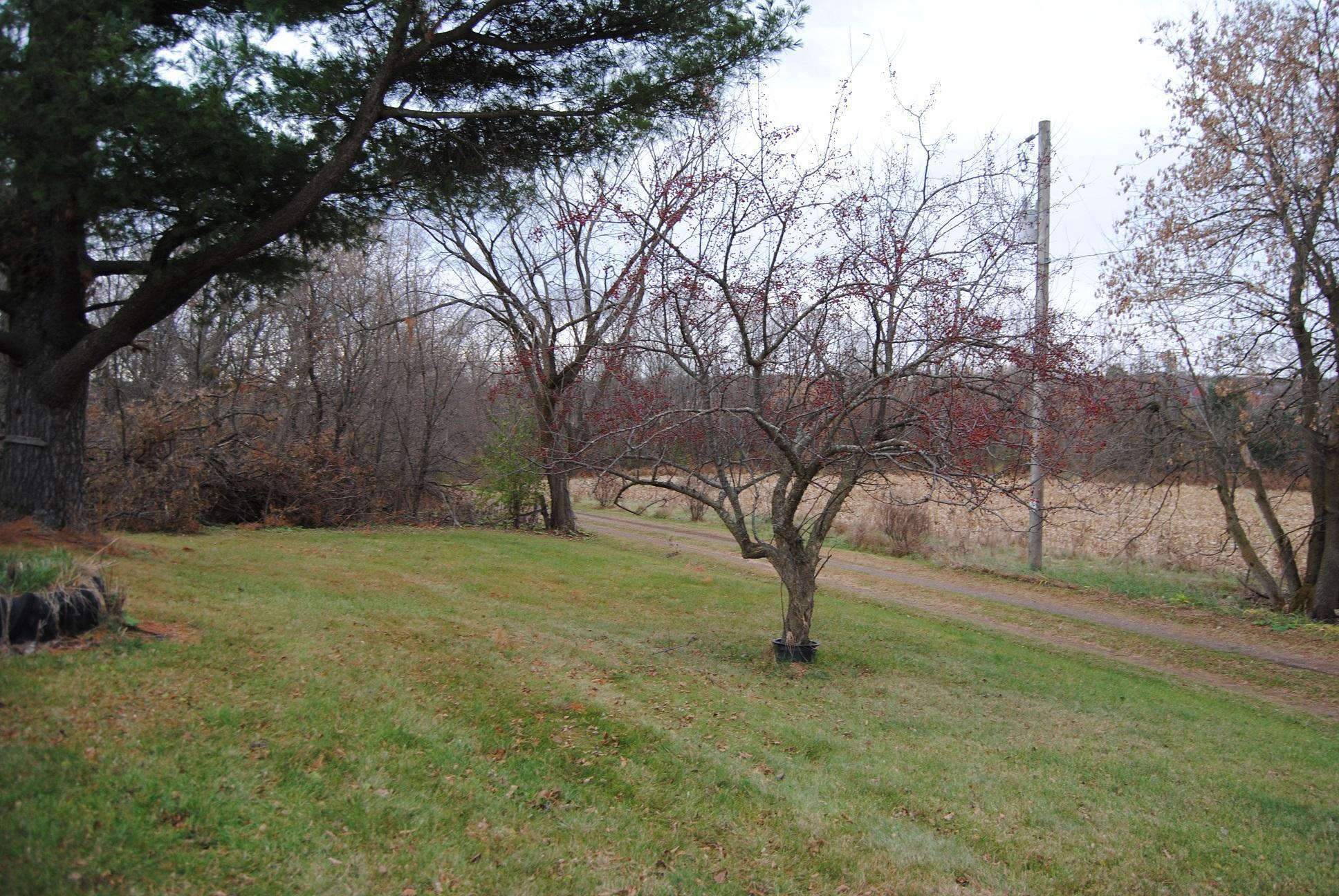 380 290th Street, Wilson, Wisconsin image 16