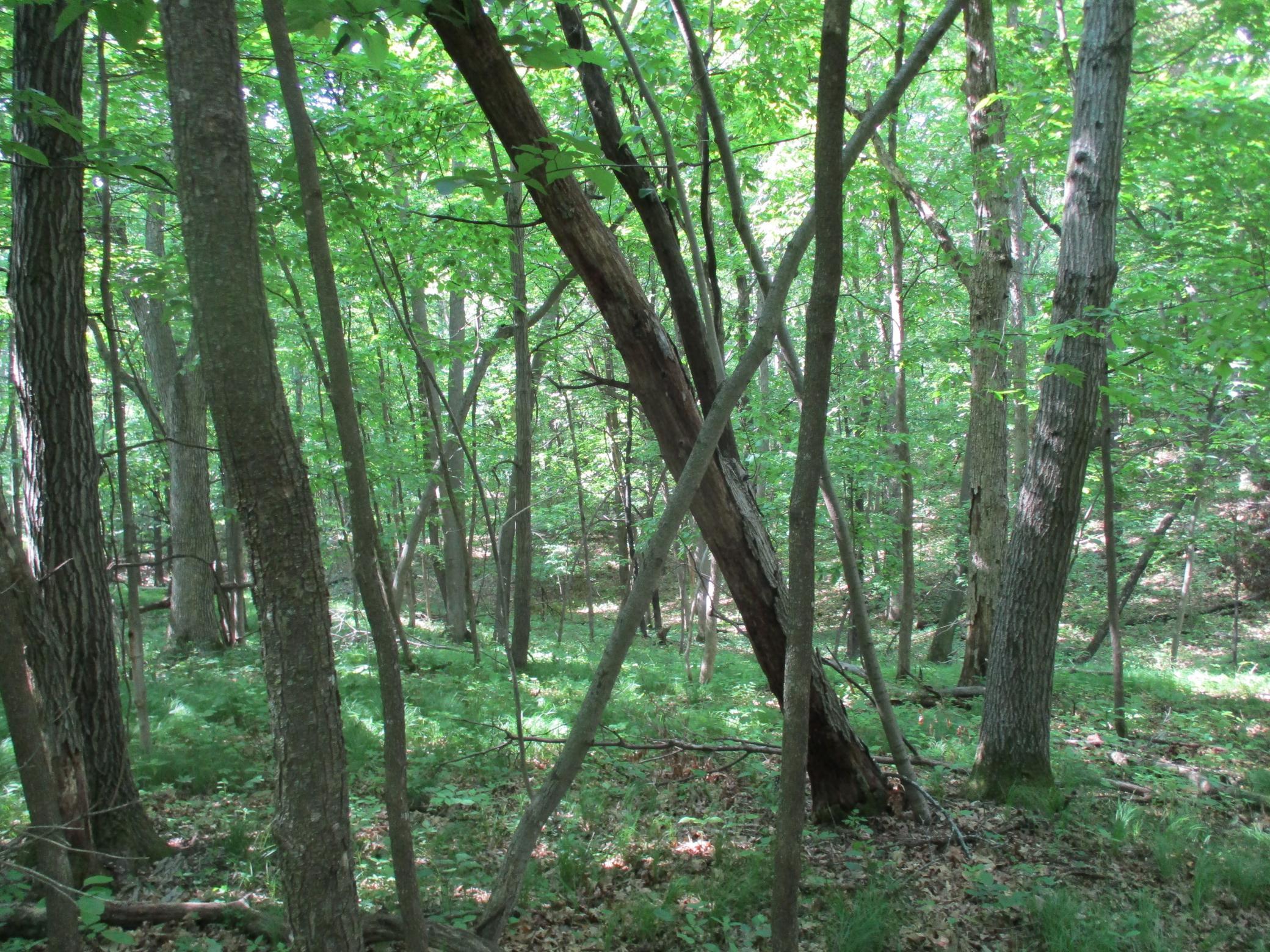 XXX 160th Ave, Saint Croix Falls, Wisconsin image 18