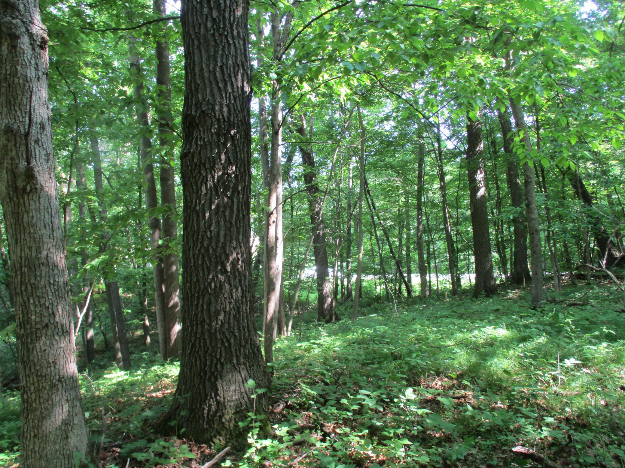 XXX 160th Ave, Saint Croix Falls, Wisconsin image 7