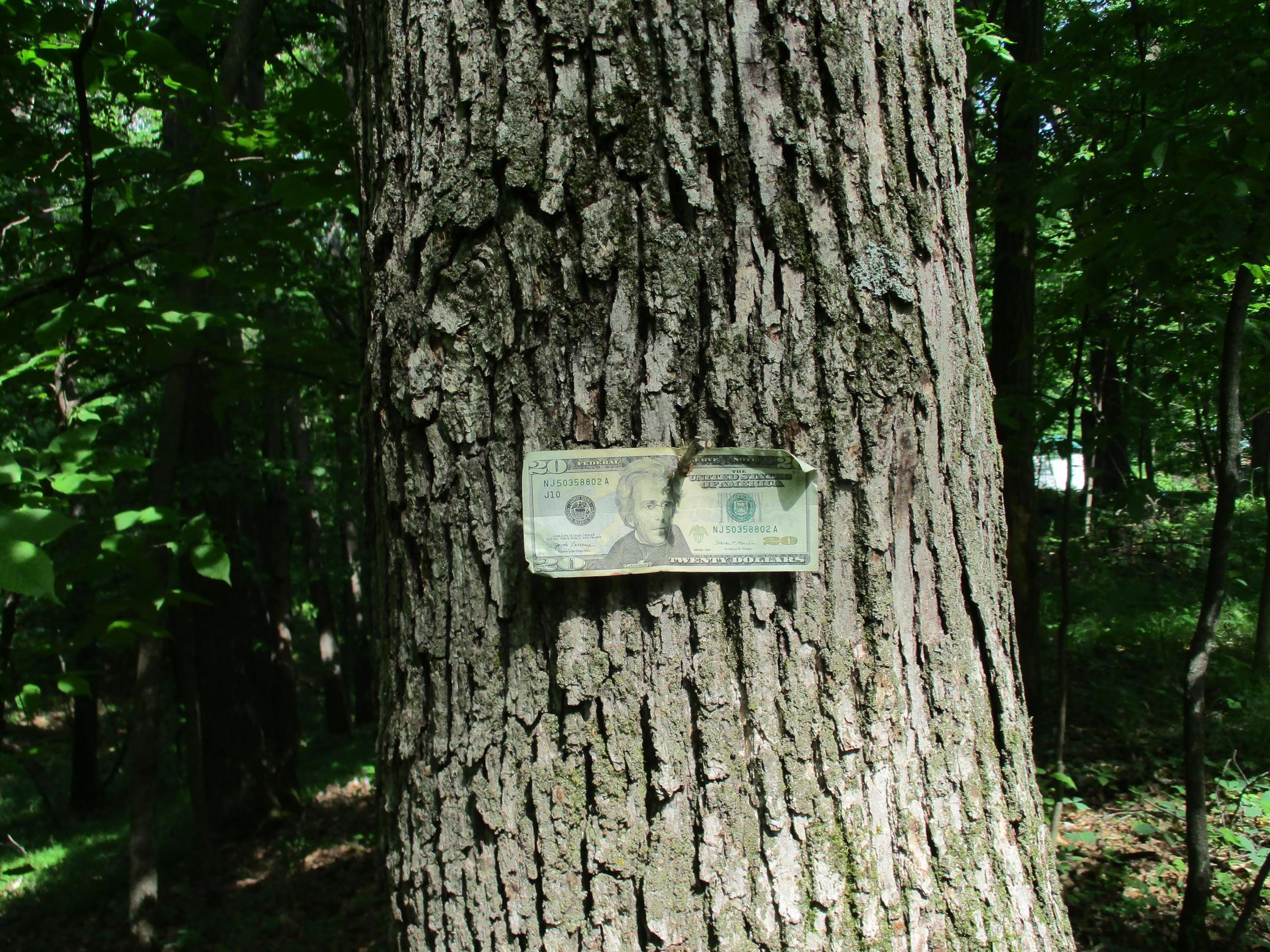 XXX 160th Ave, Saint Croix Falls, Wisconsin image 6