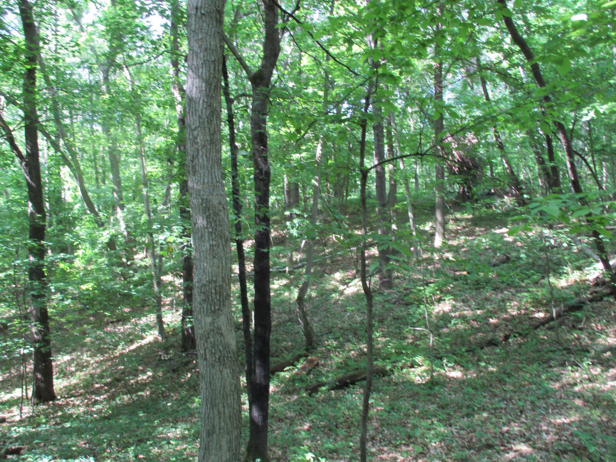 XXX 160th Ave, Saint Croix Falls, Wisconsin image 16