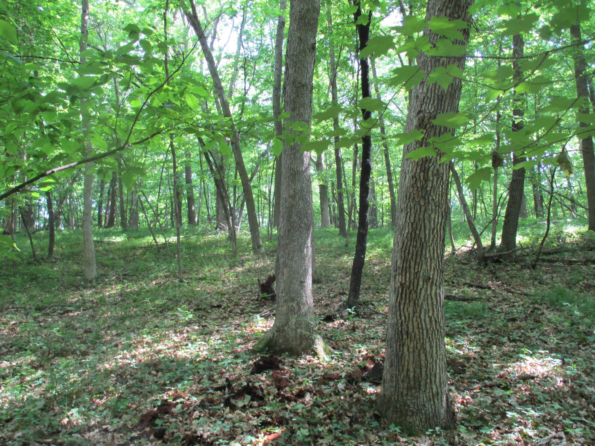 XXX 160th Ave, Saint Croix Falls, Wisconsin image 3