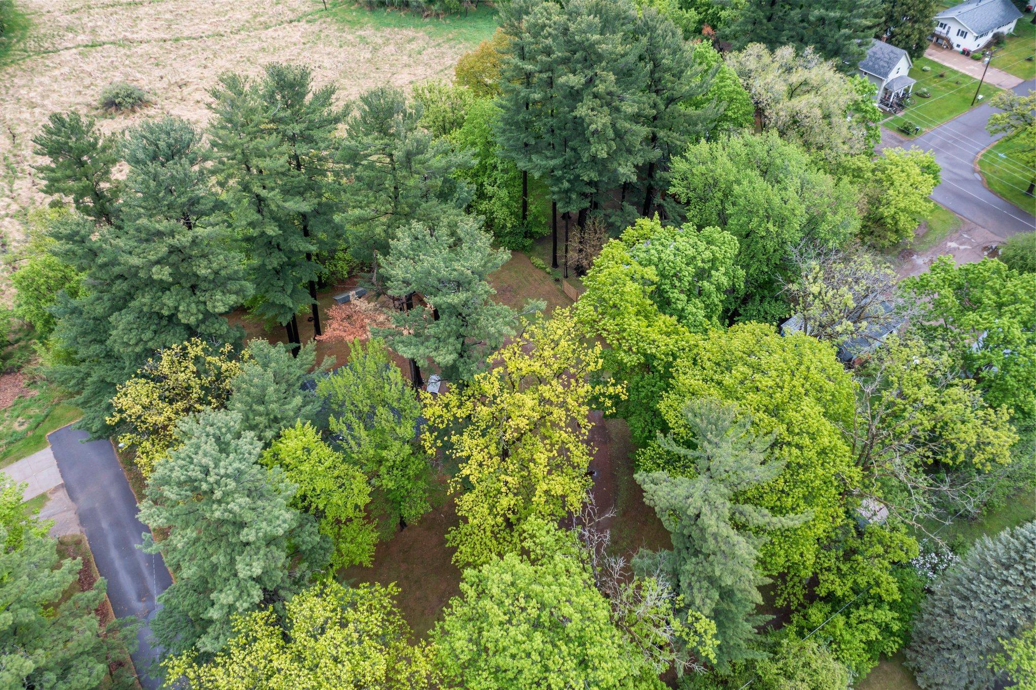 423 Cypress Avenue, Braham, Minnesota image 38