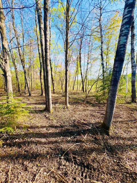 Vacant Land For Sale - TBD Mallard Place<br/> Sandstone, MN 55072