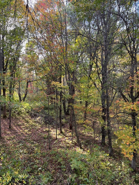 Vacant Land For Sale - Levi Lane<br/> Crow Wing County, Crosslake, MN 56442