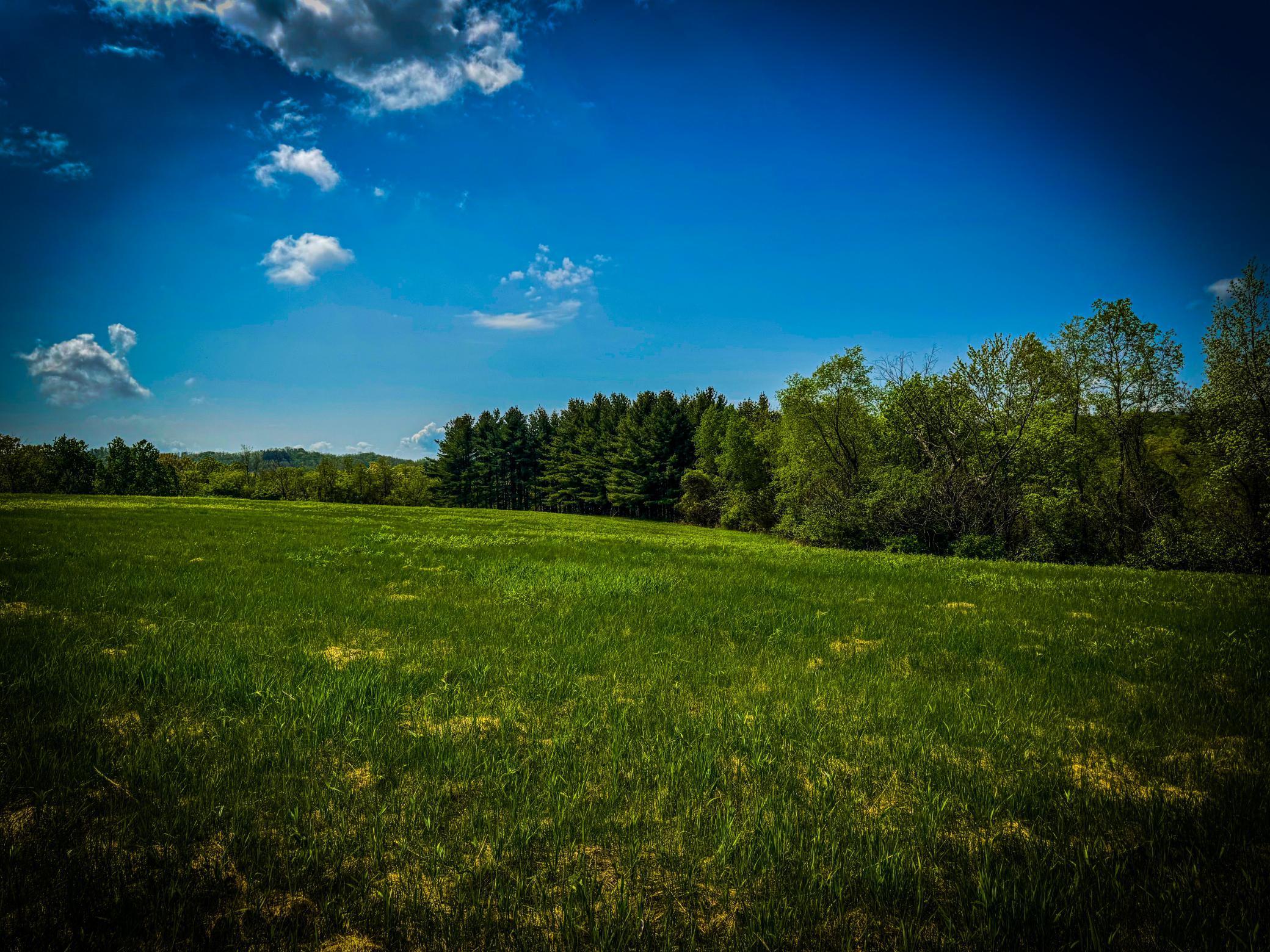Blom Road, Blair, Wisconsin image 17