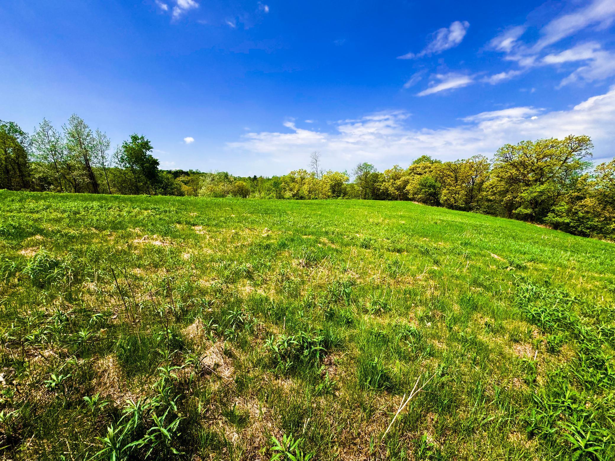 Blom Road, Blair, Wisconsin image 18