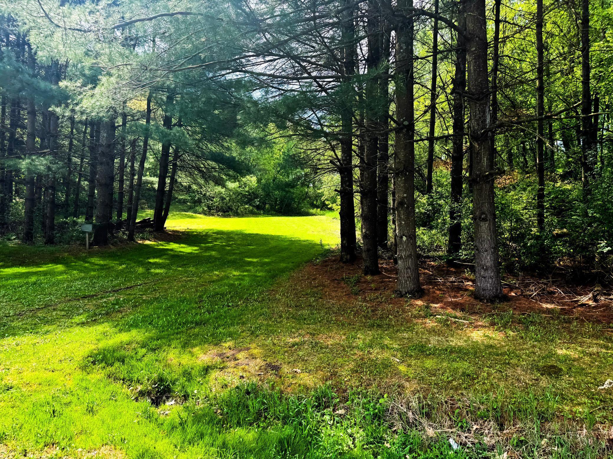 Blom Road, Blair, Wisconsin image 9