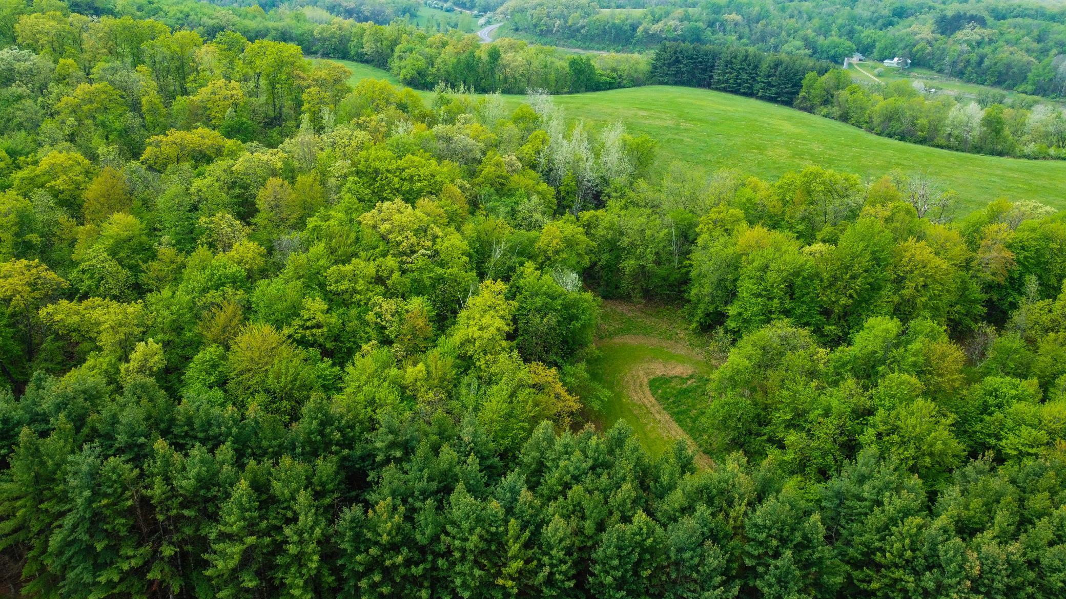 Blom Road, Blair, Wisconsin image 5