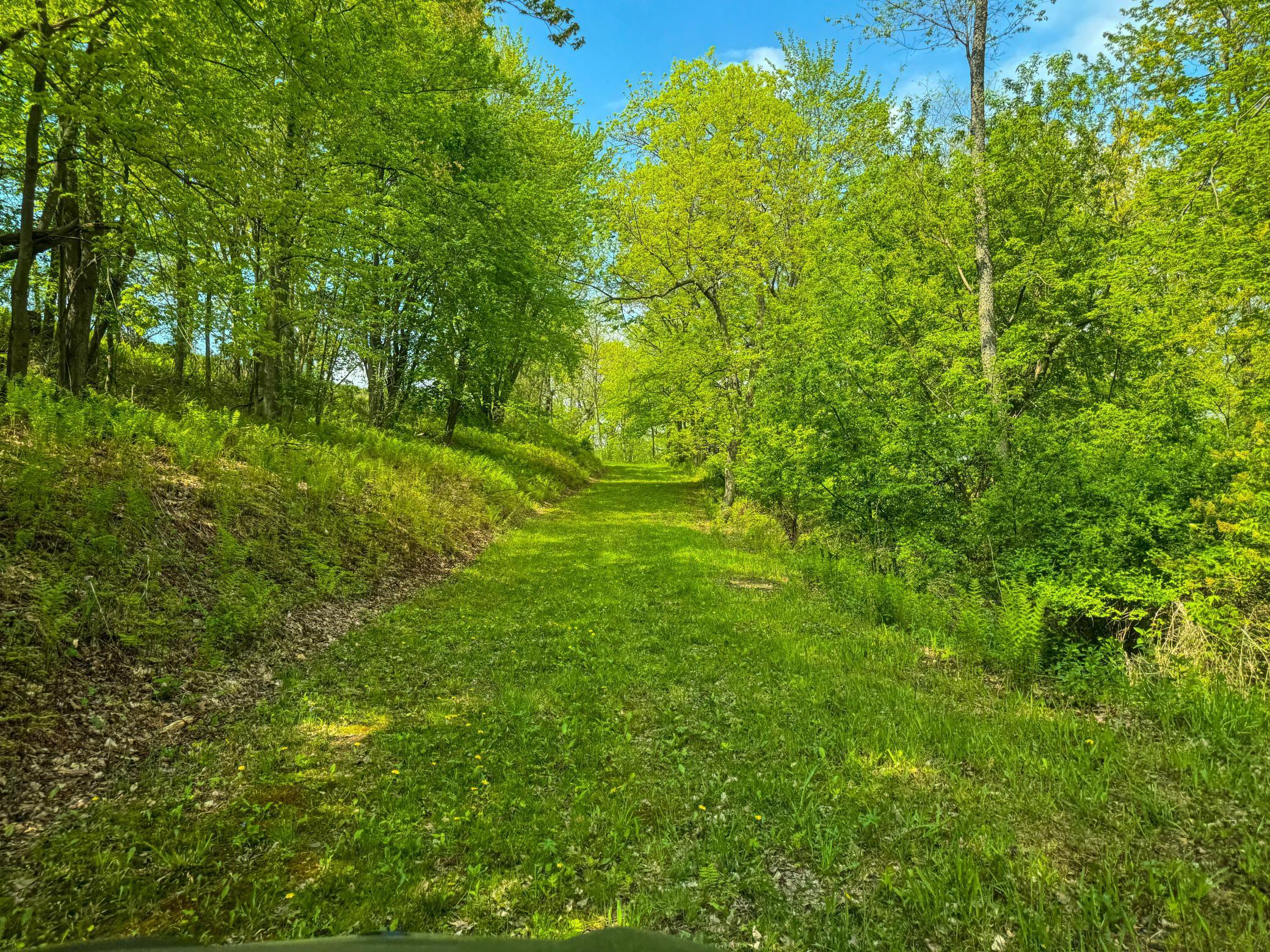 Blom Road, Blair, Wisconsin image 20