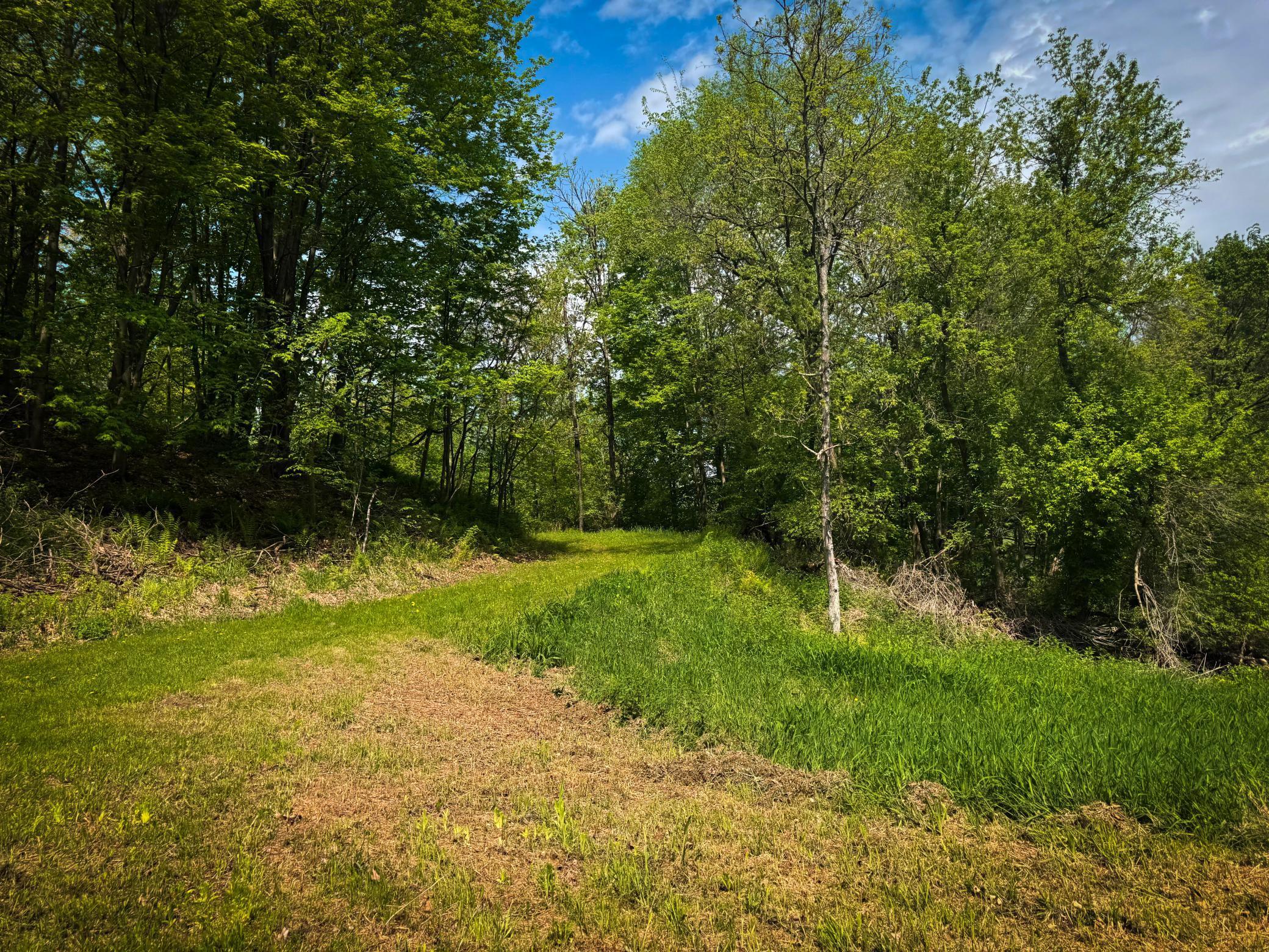 Blom Road, Blair, Wisconsin image 22