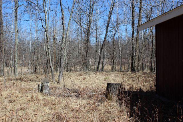 27819 438th Lane, Palisade, Minnesota image 17