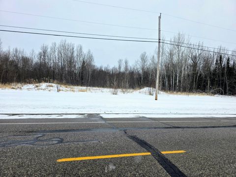 Vacant Land For Sale - TBD 20th Street<br/> International Falls, MN 56649
