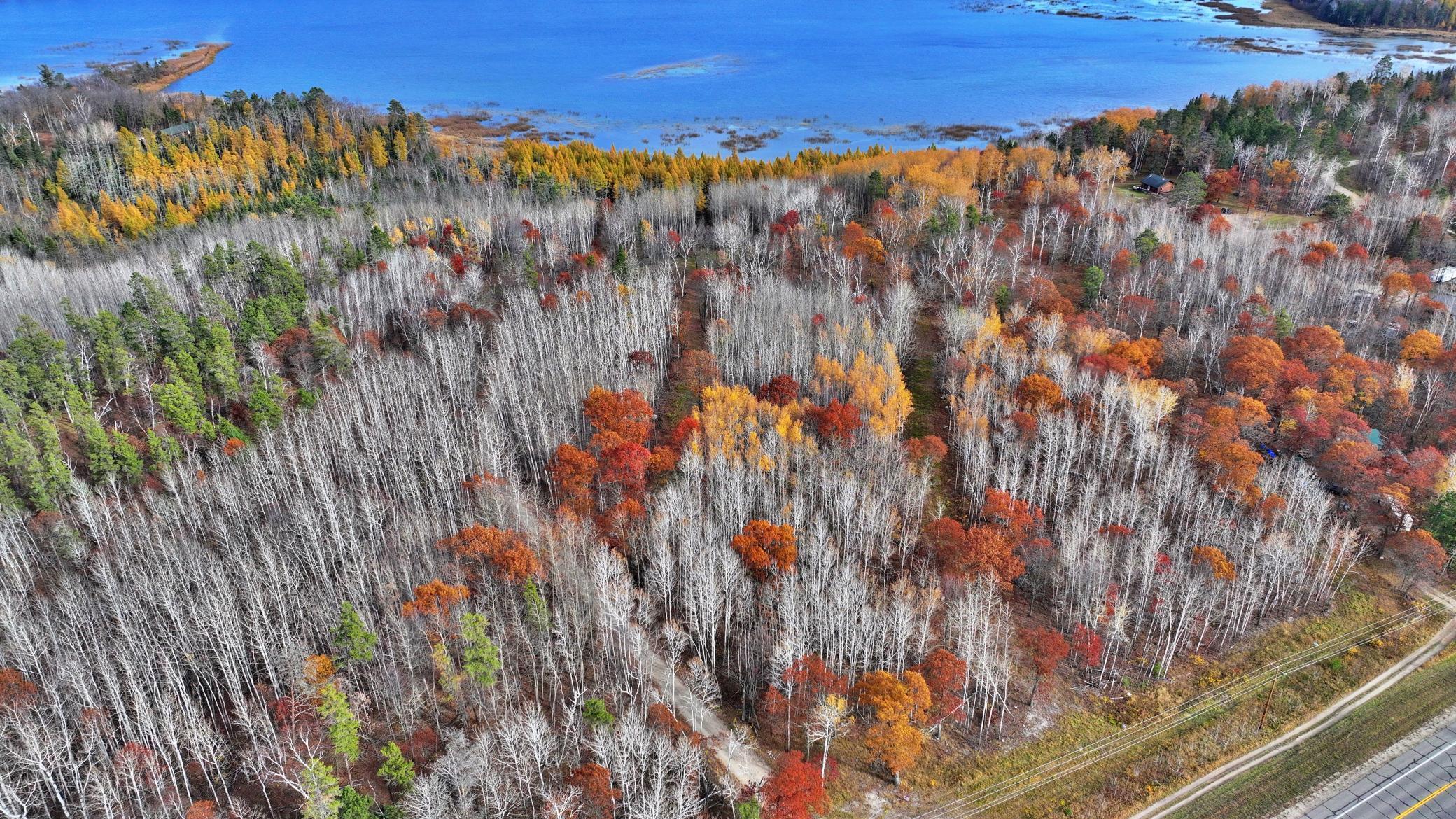 TBD County 4 - Lot 9, Lake George, Minnesota image 5