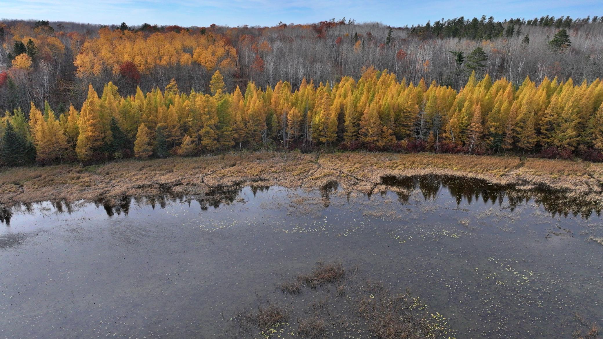 TBD County 4 - Lot 9, Lake George, Minnesota image 8