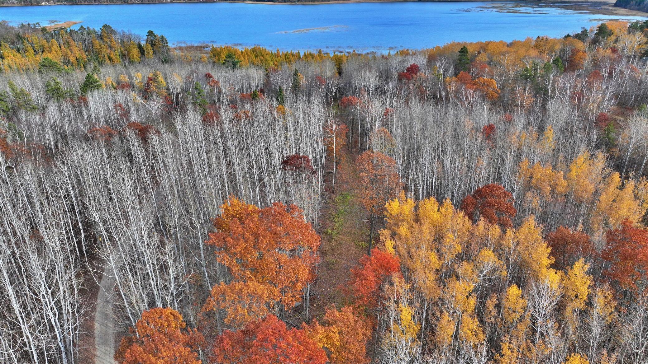 TBD County 4 - Lot 9, Lake George, Minnesota image 12