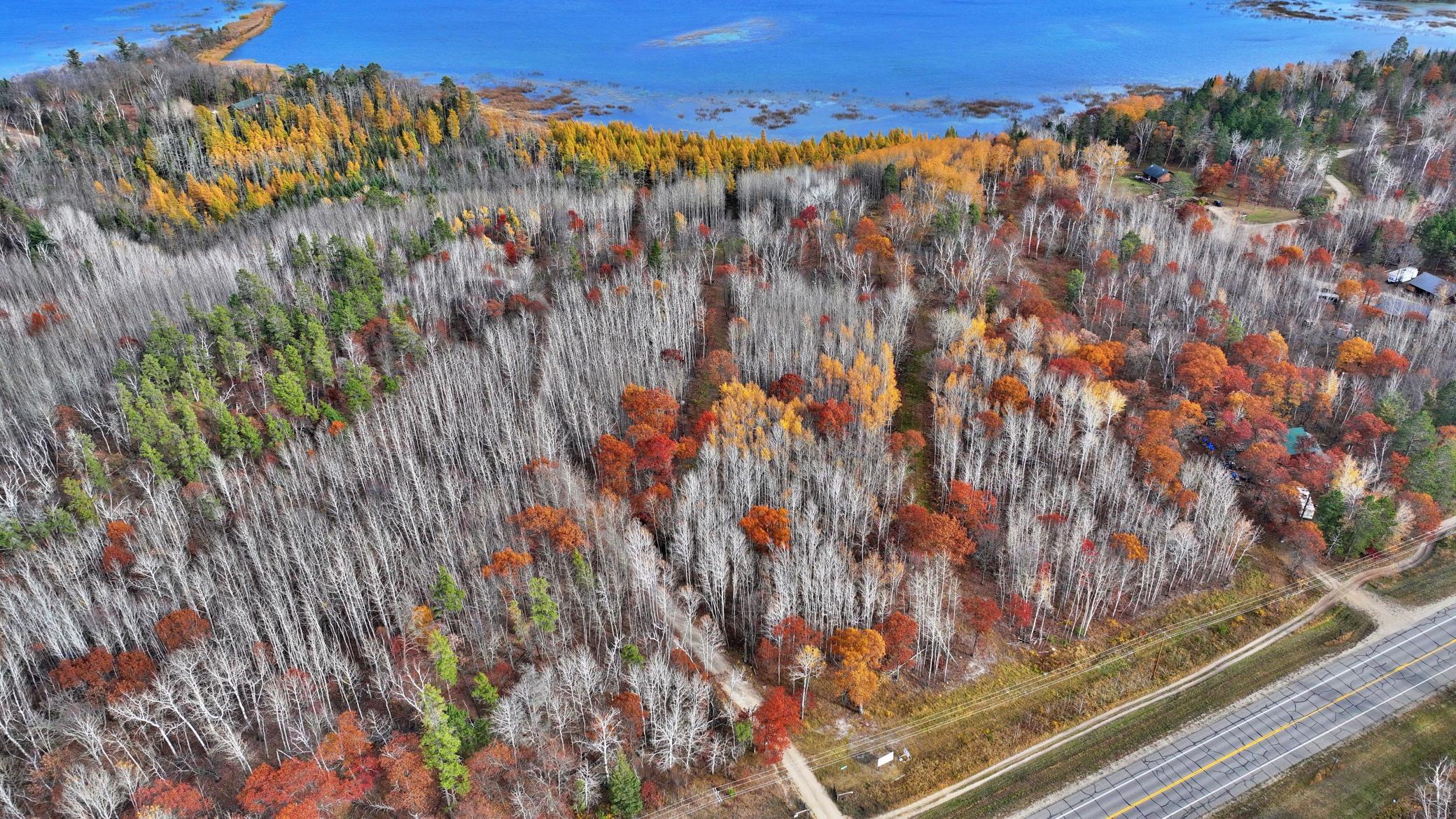 TBD County 4 - Lot 9, Lake George, Minnesota image 4