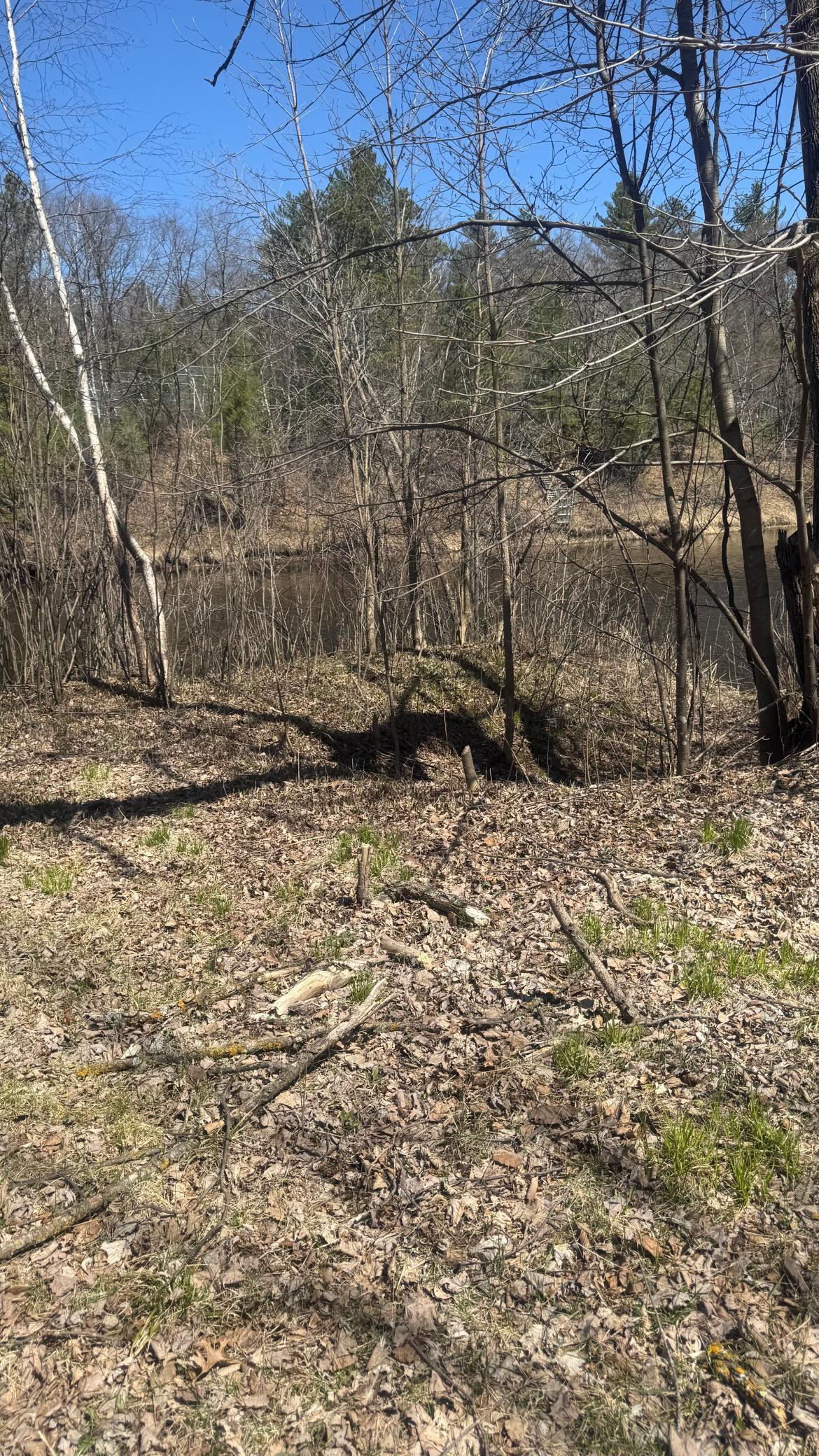 15XXX Lofty Pines Road, Pine City, Minnesota image 17