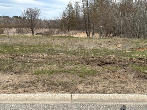Vacant Land For Sale - LOT 13 Irvine Avenue<br/> Bemidji, MN 56601