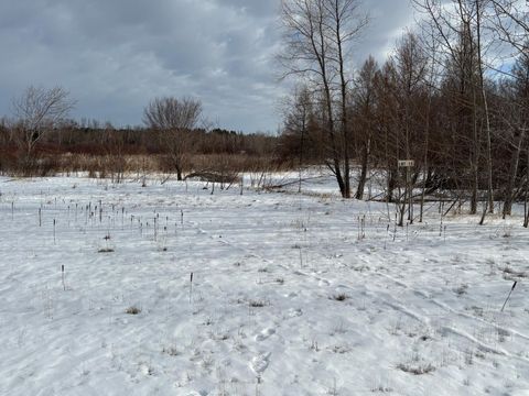 Vacant Land For Sale - LOT 13 Irvine Avenue<br/> Beltrami County, Bemidji, MN 56601