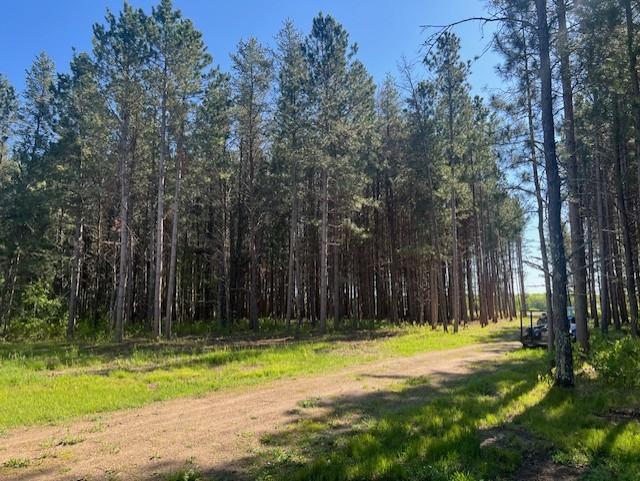 2081 16th Avenue, Pine River, Minnesota image 3